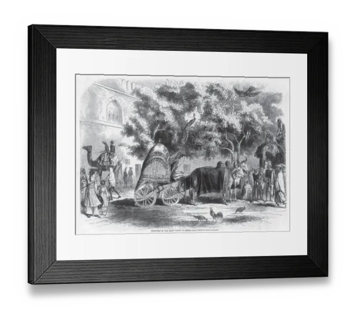 Framed Print : Courtyard of the king's palace at Delhi, India, Asia