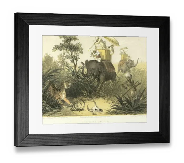 Framed Print : Colonial Indian images, our tiger shooting, India, Asia Framed Print : Colonial Indian images, our tiger shooting, India, Asia