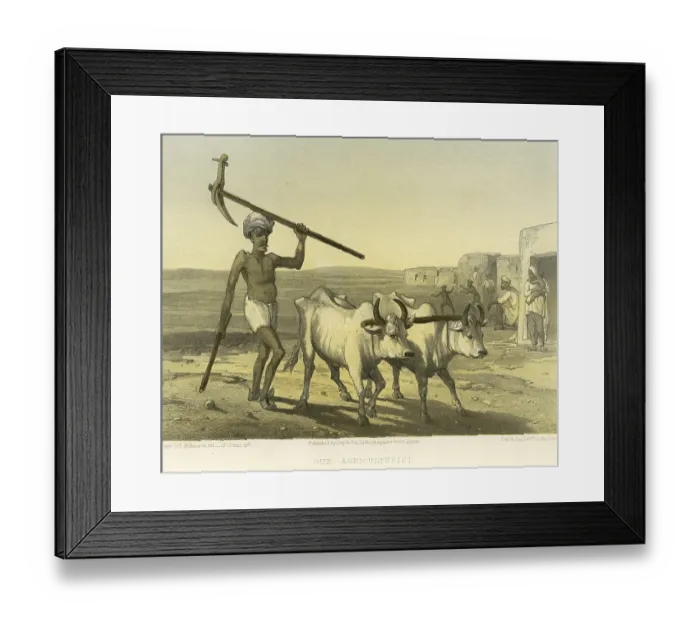 Framed Print : Colonial Indian images, our agriculturist, India, Asia