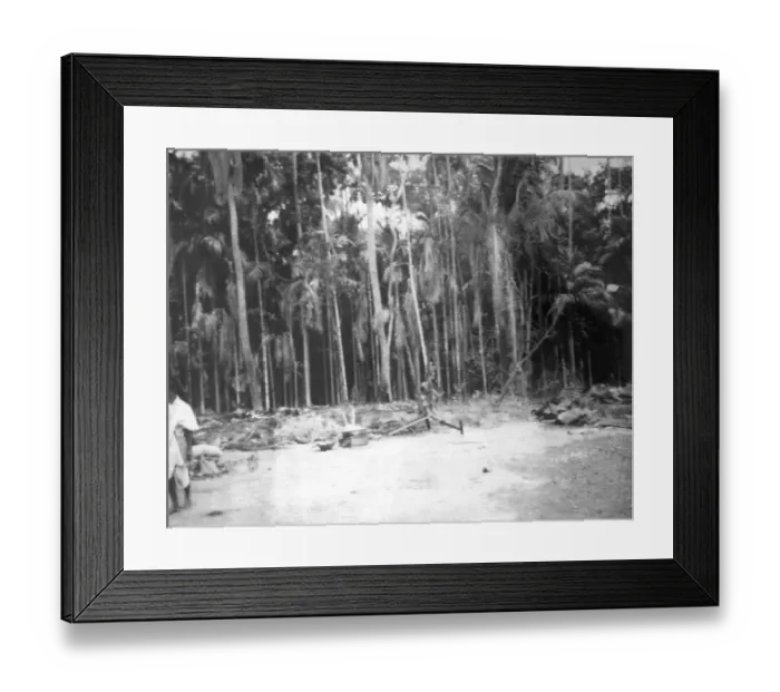 Framed Print : Destroyed articles after the riots between Hindus and Muslims in Noakhali East Bengal, November 1946, India, Asia Framed Print : Destroyed articles after the riots between Hindus and Muslims in Noakhali East Bengal, November 1946, India, Asia