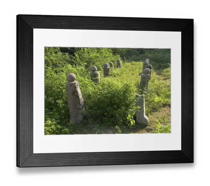 Framed Print : UNESCO world heritage Champaner Pavagadh Framed Print : UNESCO world heritage Champaner Pavagadh