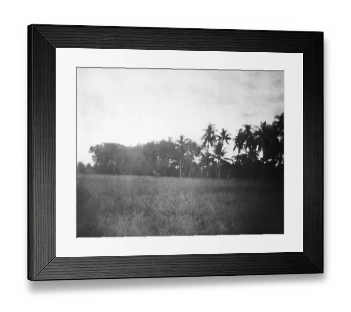 Framed Print : Landscape of Noakhali East Bengal, 1946, India, Asia Framed Print : Landscape of Noakhali East Bengal, 1946, India, Asia