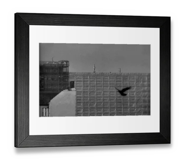 Framed Print : Germany, Berlin, 10 March 1992, the facades of Leipziger Strasse are being re-clad (thin-iron method), bird and figure of the German Cathedral, Europe