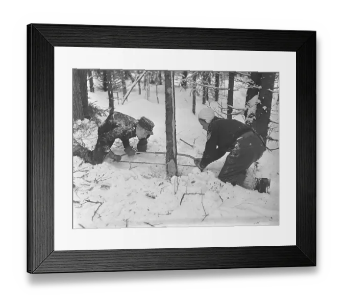 Framed Print : During the time of the Second World War. The war made it difficult to import coal for heating houses and apartments. Wood had to be used instead of coal. In big cities like Stockholm, you could see large piles of wood along the streets