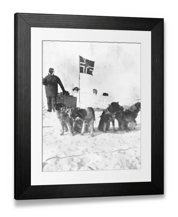 Framed Print : Roald Amundsen. Norwegian polar explorer Framed Print : Roald Amundsen. Norwegian polar explorer