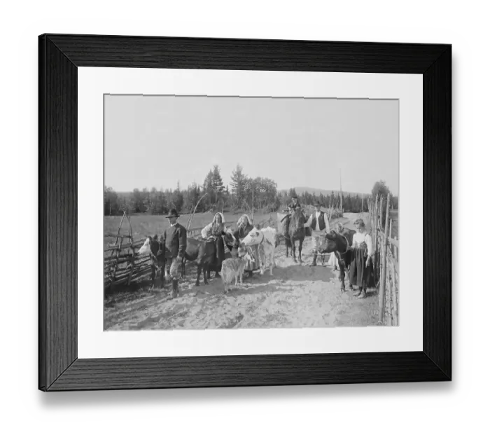 Framed Print : Dalarna Sweden 1919. A family with their various animals along a gravel road with a fenced yard on the sides