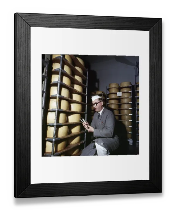 Framed Print : Moller & Co. Coffee roastery