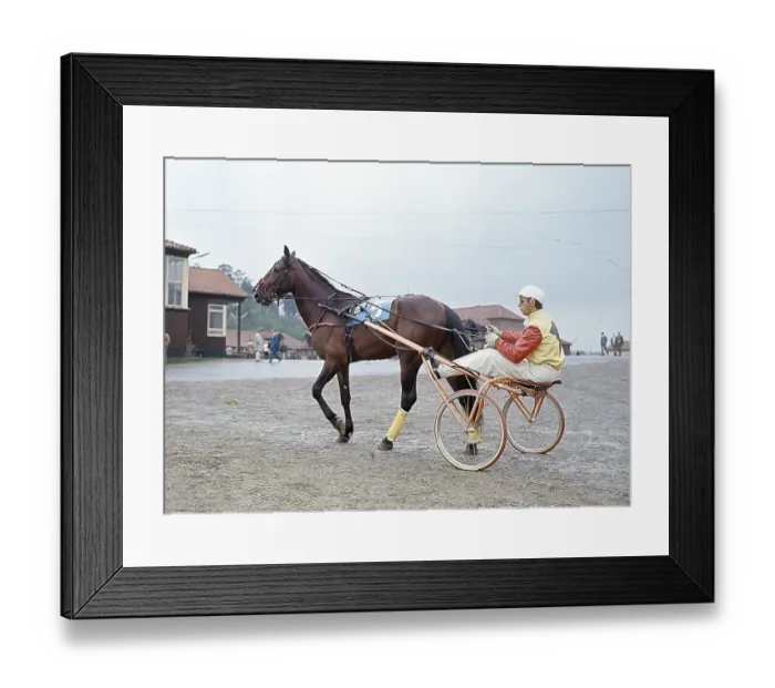 Framed Print : Olle Elfstrand. Swedish trotting trainer and jockey. During his career he has managed the feat of winning over 2000 races as a jockey. Here in the sulky with the trotting horse Lyon that he trained for most of his racing career Framed Print : Olle Elfstrand. Swedish trotting trainer and jockey. During his career he has managed the feat of winning over 2000 races as a jockey. Here in the sulky with the trotting horse Lyon that he trained for most of his racing career