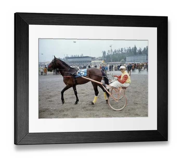 Framed Print : Olle Elfstrand. Swedish trotting trainer and jockey. During his career he has managed the feat of winning over 2000 races as a jockey. Here in the sulky with the trotting horse Lyon that he trained for most of his racing career