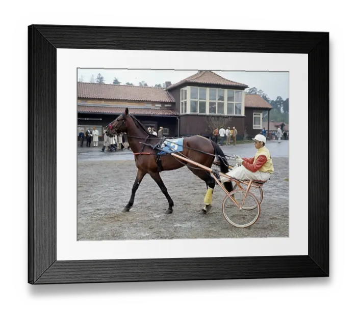 Framed Print : Olle Elfstrand. Swedish trotting trainer and jockey