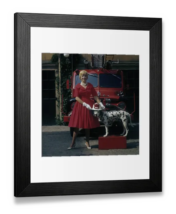 Framed Print : Fashionable in the 1950s. A young woman in a red dress, white gloves and white shoes is standing in front of a Ford firetruck together with a dalmatian dog with an american fire chief helmet