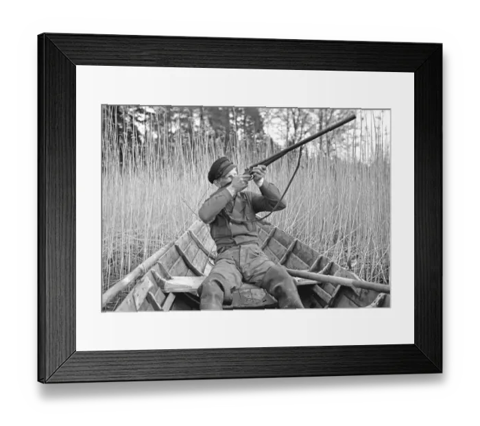 Framed Print : In the 1930s. A man sits in a rowing boat and aims his rifle upwards to shoot ducks Framed Print : In the 1930s. A man sits in a rowing boat and aims his rifle upwards to shoot ducks