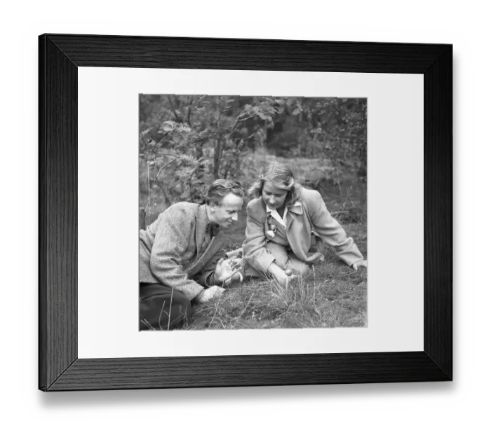 Framed Print : Couple in the nature. A young couple pictured sitting on the ground looking at a mushroom. Sweden 1944. Kristoffersson Ref M20-2
