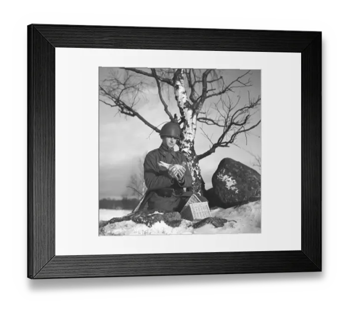 Framed Print : Swedish army during WW2. A soldier is seen holding a pigeon in his hands