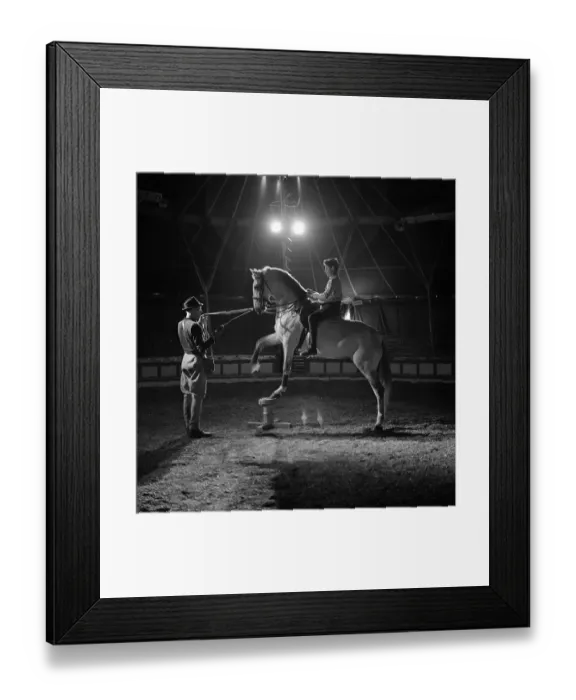 Framed Print : Circus in the 1960s. A horse circus act is being practised inside the circus tent Framed Print : Circus in the 1960s. A horse circus act is being practised inside the circus tent