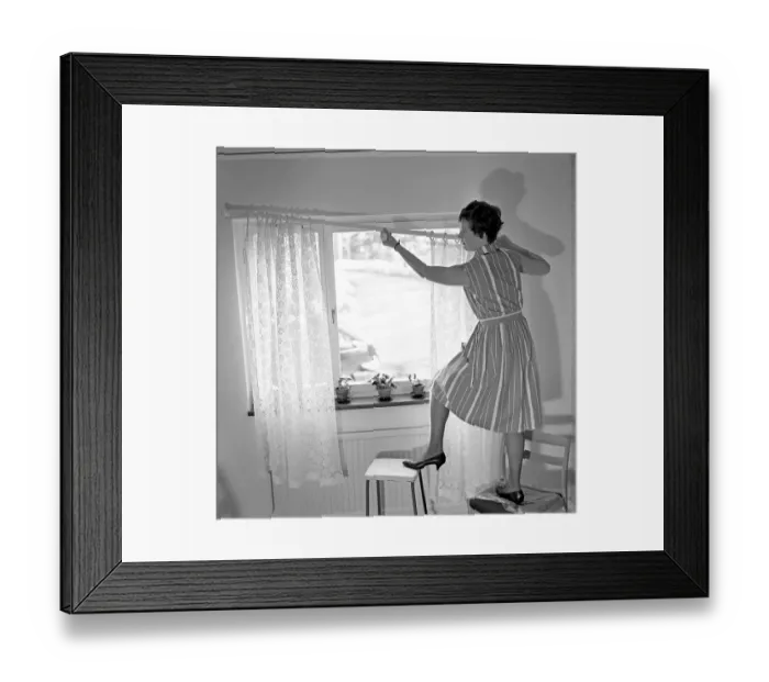 Framed Print : 1960s home decorating. A woman at home putting up the curtains in the room window Framed Print : 1960s home decorating. A woman at home putting up the curtains in the room window