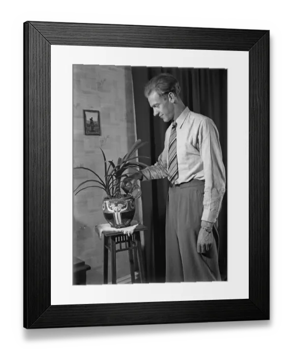Framed Print : In the 1940s. Swedish athlete Ake Oedmark at home watering his plants