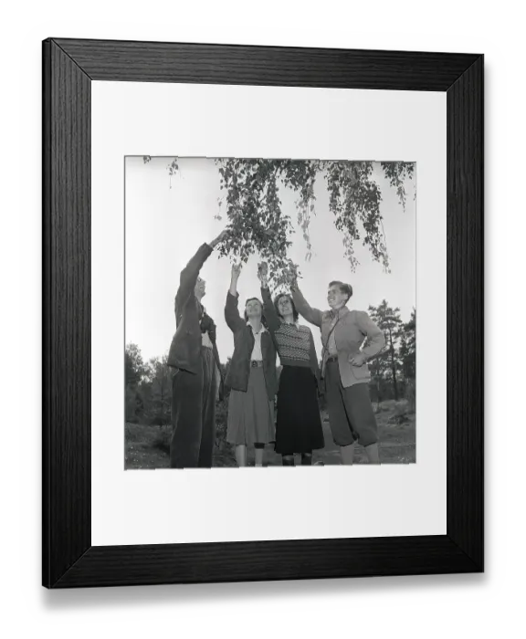 Framed Print : 1940s outdoor life. A group of young people are out in the nature and is interested in plants and flowers. They are wearing the typical 1940s kind of outdoor clothes of sport character that is practical and durable