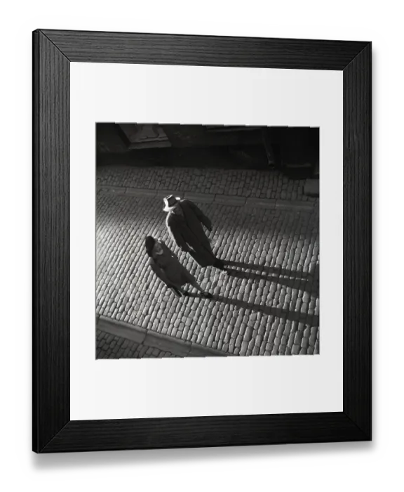 Framed Print : 1940s couple. The man and woman walking in an old street cast long shadows when the evening sun shines on them
