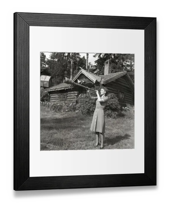 Framed Print : 1940s woman. To make herself heard the young actress Barbro Kollberg blows in a horn outside her summer cottage Framed Print : 1940s woman. To make herself heard the young actress Barbro Kollberg blows in a horn outside her summer cottage