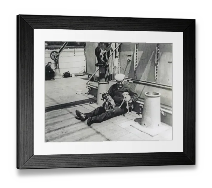 Framed Print : World war one. A dog and a goat are mascots on this american warship