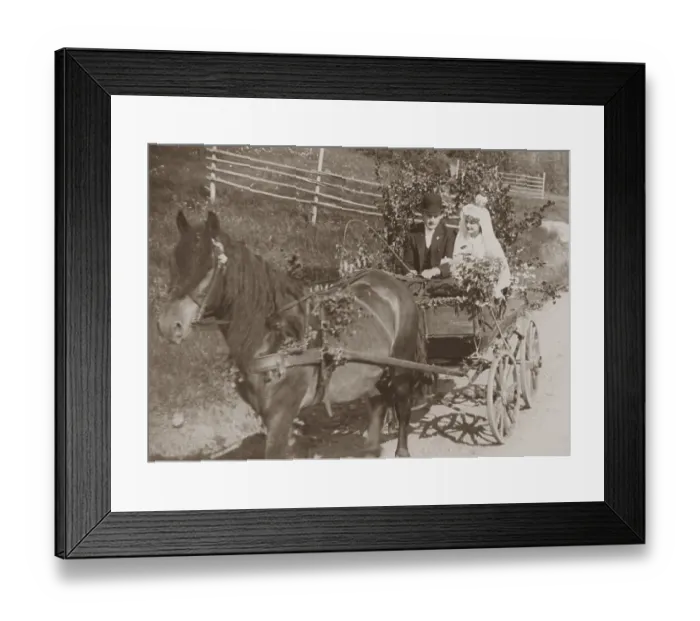 Framed Print : Wedding couple in the 1930s. The newly weds bride and groom are sitting in a horse drawn wagon on a summer day