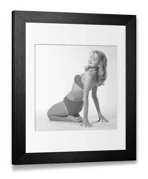 Framed Print : 1960s bikini fashion. A blonde girl in a photographers studio in a typical 1960s bikini. Sweden 1960s Photo Kristoffersson ref CP73-4 Framed Print : 1960s bikini fashion. A blonde girl in a photographers studio in a typical 1960s bikini. Sweden 1960s Photo Kristoffersson ref CP73-4