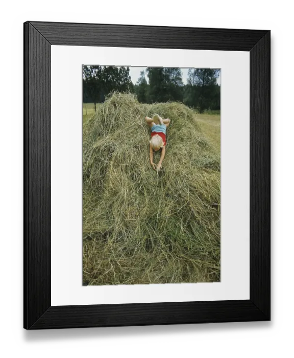 Framed Print : Summer in the 1970s. A picture from a decade when there still were people farming their land in a small scale