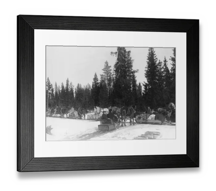 Framed Print : Transport of goods 1908. Drivers and horses on a road between Lit and Haeggenas in Jaemtland Sweden