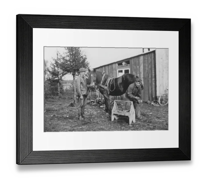 Framed Print : In the 1930s. A farrier shoeing a horse