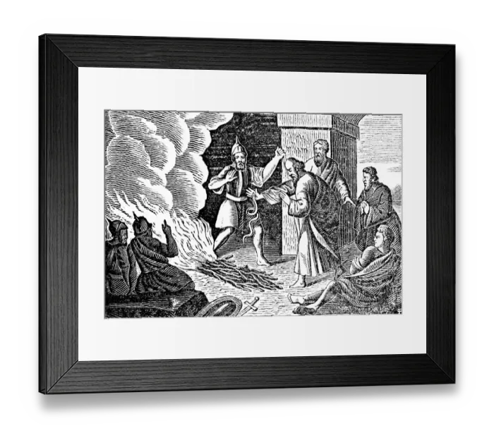 Framed Print : The captive Paul hurls an adder unharmed from his hand into the fire, Pauus on Malta, soldiers, fear, smoke, woodcut, historical illustration