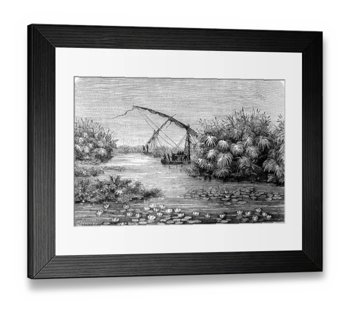 Framed Print : The White Nile in the tropics, blooming water lilies