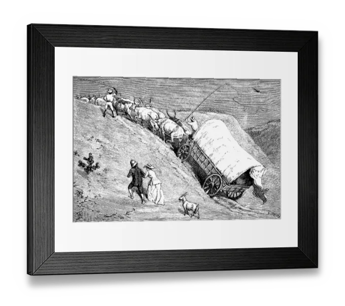 Framed Print : A team of oxen pulling a covered wagon up the steep riverbank after a river crossing, whips, couple, goat, colonial era, Namibia, former German colony, historical illustration 1886, Africa