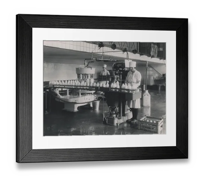 Framed Print : Dairy in the 1930s. An interior of Mjolkcentralen and it's filling station of milk bottles Framed Print : Dairy in the 1930s. An interior of Mjolkcentralen and it's filling station of milk bottles
