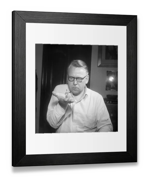 Framed Print : Tin soldiers in the 1950s Framed Print : Tin soldiers in the 1950s