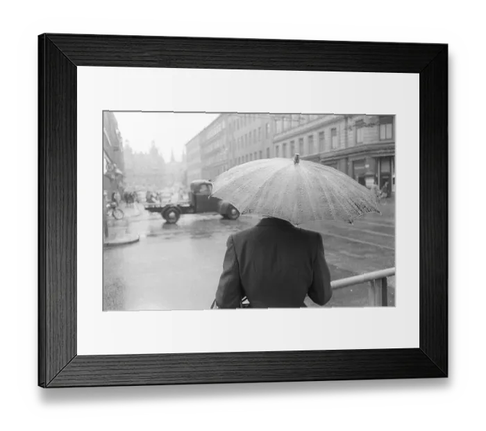 Framed Print : Umbrellas in the 1950s. The rain is pouring and a woman is seen holding an umbrella over herself Framed Print : Umbrellas in the 1950s. The rain is pouring and a woman is seen holding an umbrella over herself