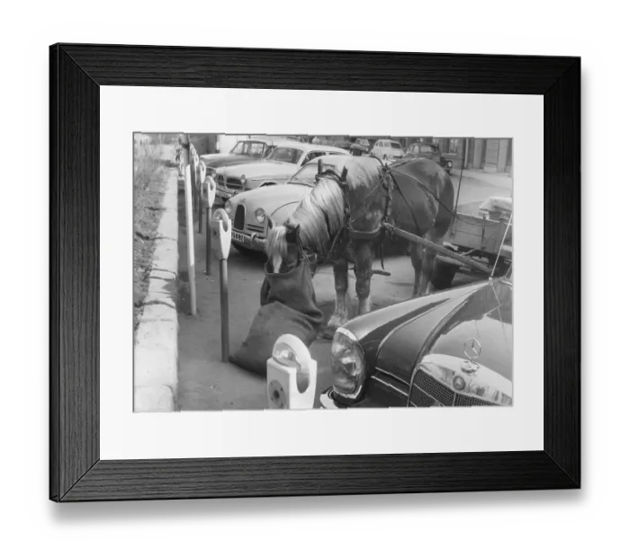 Framed Print : In the 1950s. A decade when horses began to disapear from the streets and the cars