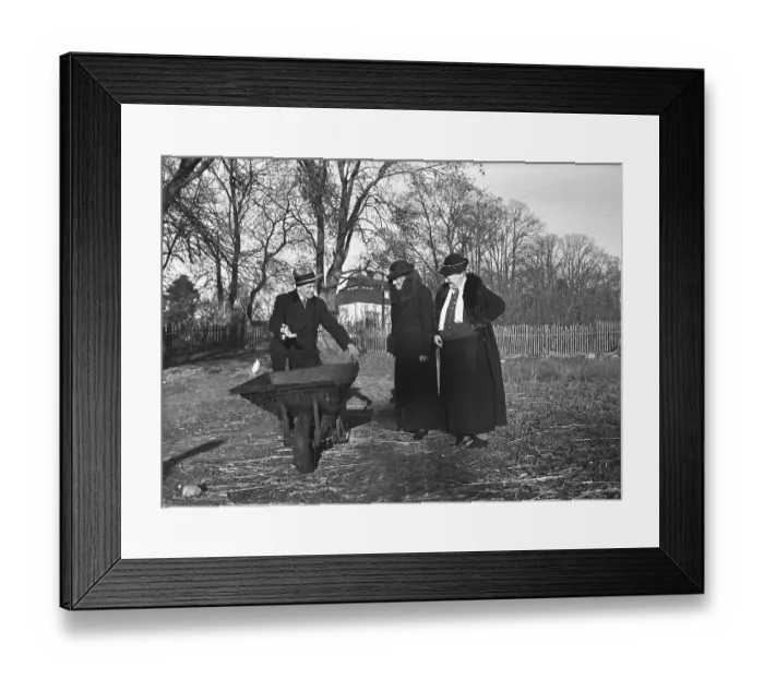 Framed Print : Having fun in the 1930s. An elderly man offers his equally old lady friends a ride in his wheelbarrow Framed Print : Having fun in the 1930s. An elderly man offers his equally old lady friends a ride in his wheelbarrow