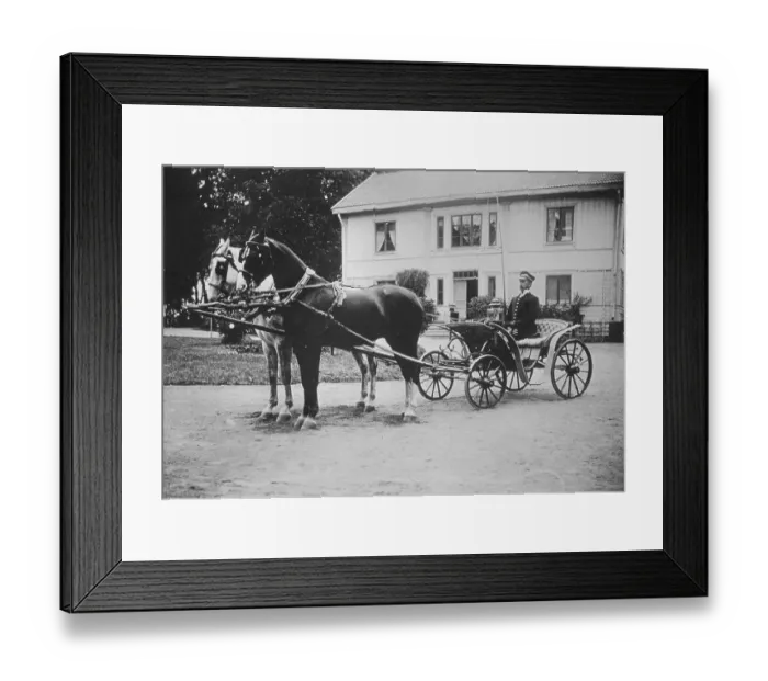 Framed Print : Horse and carriage. A man in uniform is sitting ready in the carriage drawn by two horses