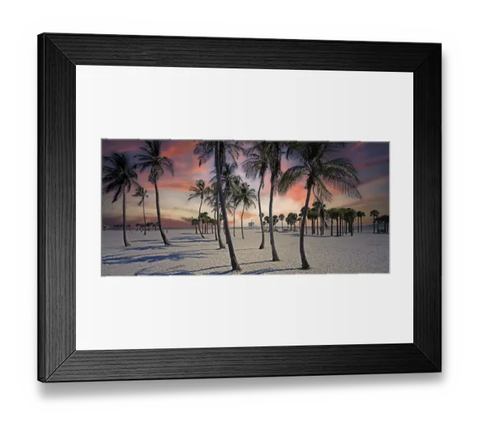 Framed Print : USA /  Florida - Miami, beach at Crandon Park, palm trees