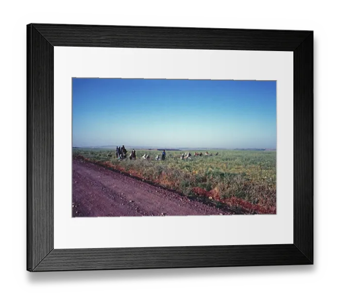 Framed Print : Field labourers, Southeast Anatolia Framed Print : Field labourers, Southeast Anatolia