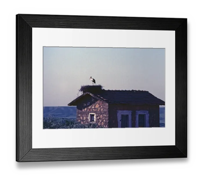 Framed Print : Stork in nest on house roof, Southeast Anatolia, Turkey, May 1987, vintage, retro, old, historical, Asia Framed Print : Stork in nest on house roof, Southeast Anatolia, Turkey, May 1987, vintage, retro, old, historical, Asia