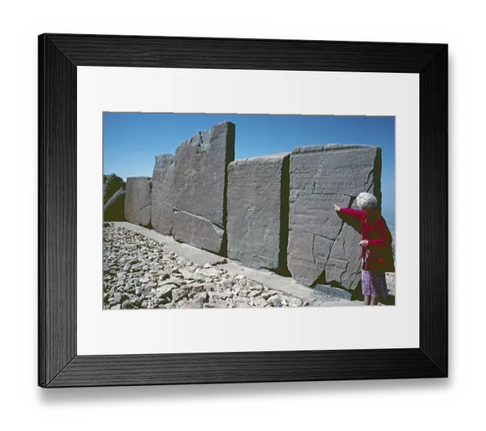 Framed Print : Tourist, labelled back of the relief panels