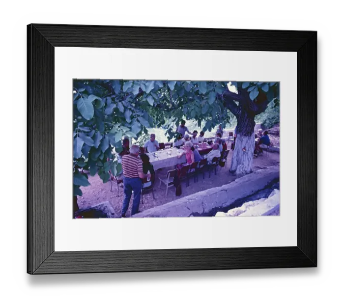 Framed Print : Tourists, garden pub, walnut tree Framed Print : Tourists, garden pub, walnut tree