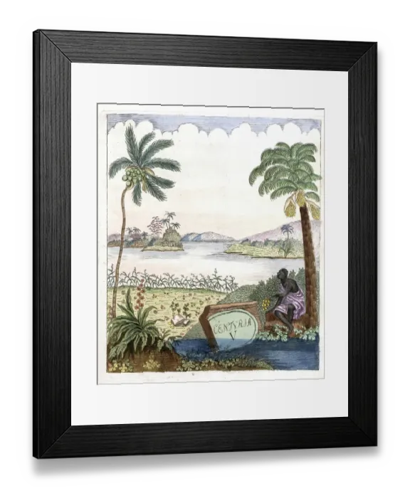 Framed Print : Cover picture of Botanica Pharmaceutica by Andreas Friedrich Happe