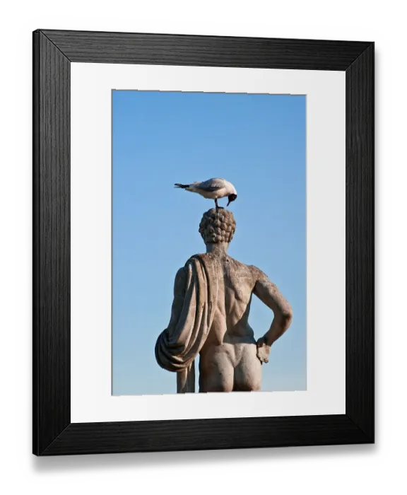 Framed Print : Seagull examining head of statue, Sweden, Europe