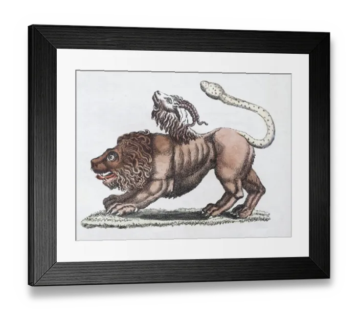 Framed Print : Chimera or Chimaera, mythical creature Framed Print : Chimera or Chimaera, mythical creature
