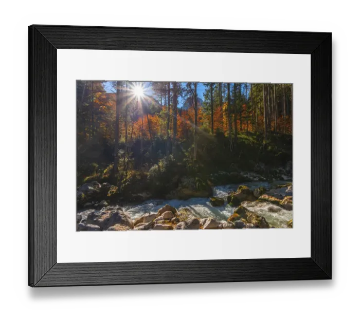 Framed Print : Autumn atmosphere in the magic forest Framed Print : Autumn atmosphere in the magic forest