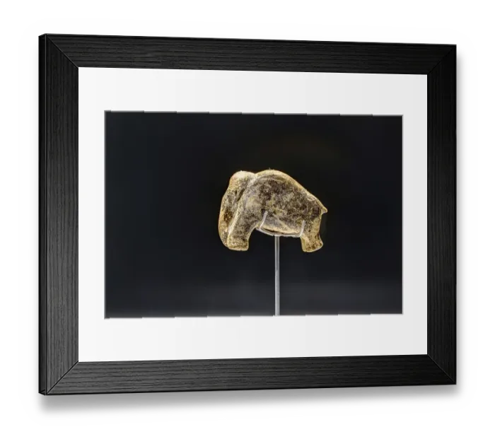 Framed Print : 40, 000-year-old animal figurine