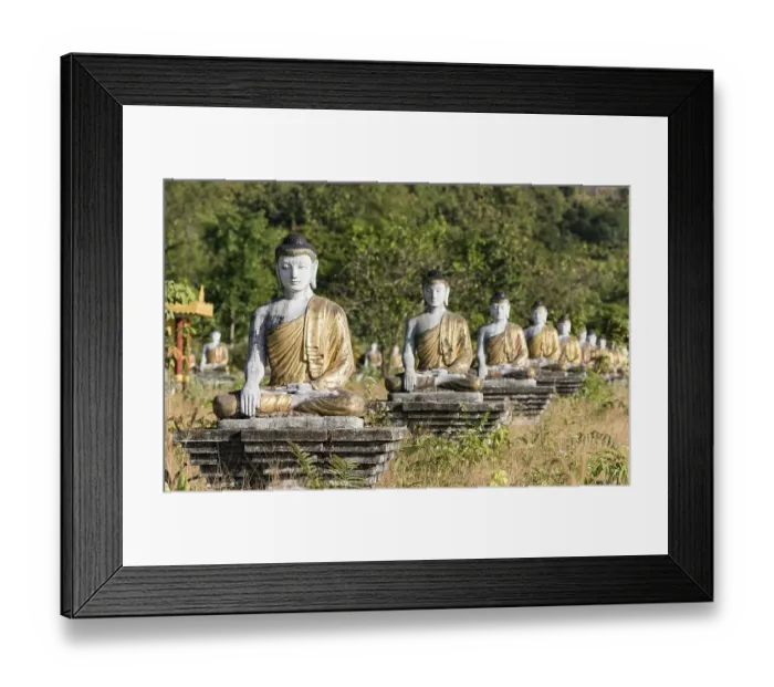 Framed Print : Row of Buddha statues in Lumbini Garden under Mt Zwegabin